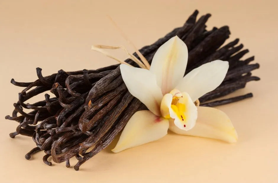 Zoom sur la vanille : Plante historique & gourmande - Secret des chefs